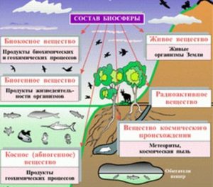 Схема связь биосферы с другими оболочками земли